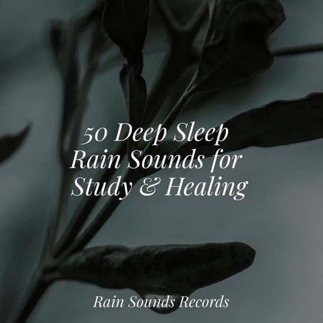 50 Deep Sleep Rain Sounds for Study & Healing - Brain Study Music Guys