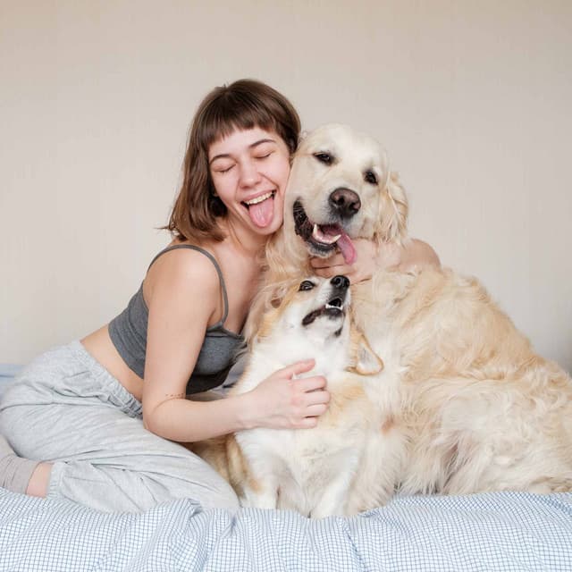 Inspired Bgm for Instrumental Dog Hours - Dog Music Hour