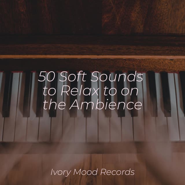 50 Soft Sounds to Relax to on the Ambience - Zen Music Garden