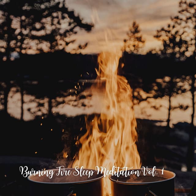 Burning Fire Sleep Meditation Vol. 1 - Relaxing Study Music Background Music