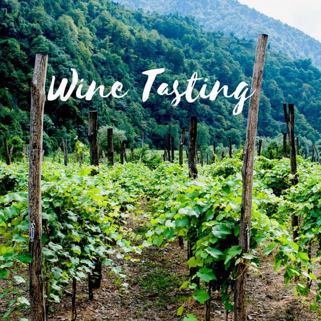 Wine Tasting - Granular