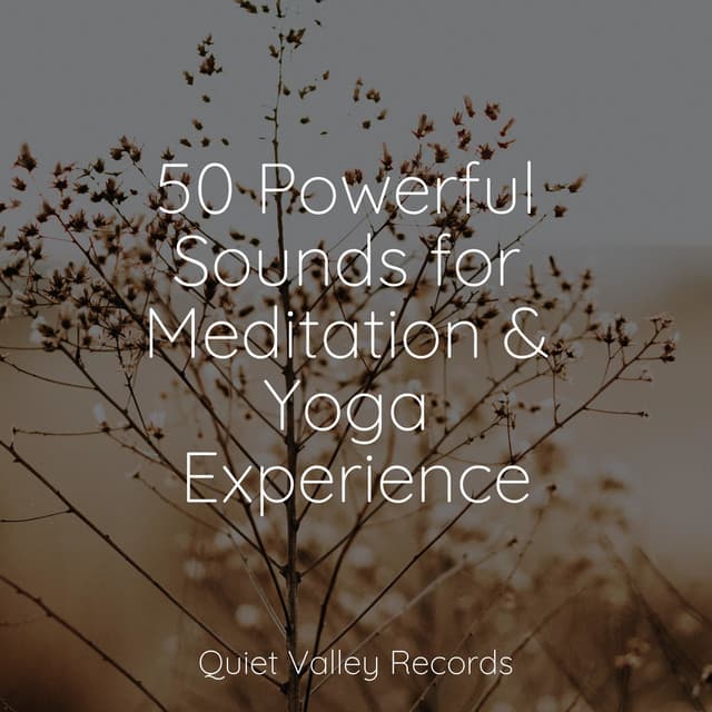 50 Powerful Sounds for Meditation & Yoga Experience - Musica Relajante