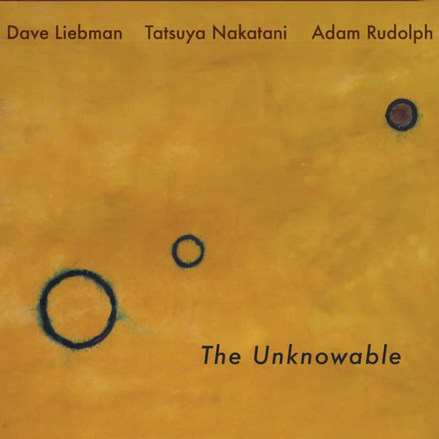 The Unknowable - Dave Liebman