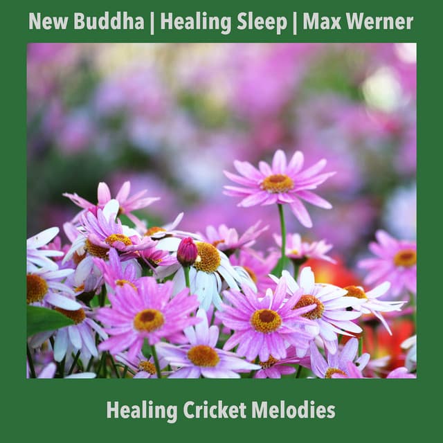 Healing Cricket Melodies - New Buddha