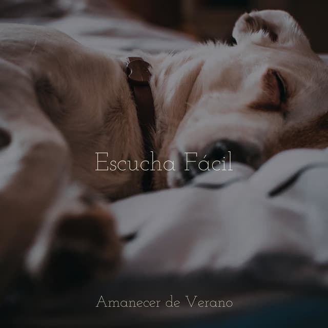 Escucha Fácil - Yoga Music