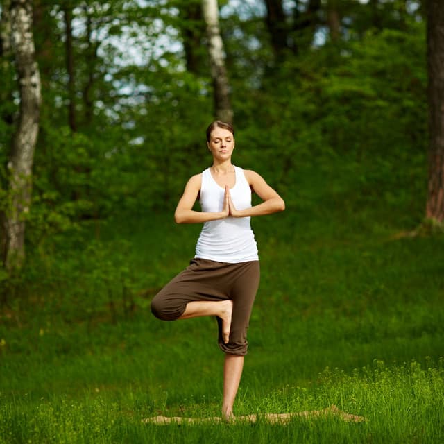 Bird Song Melodies: Peaceful Owl Echoes for a Yoga Retreat - Brown Owl Plays