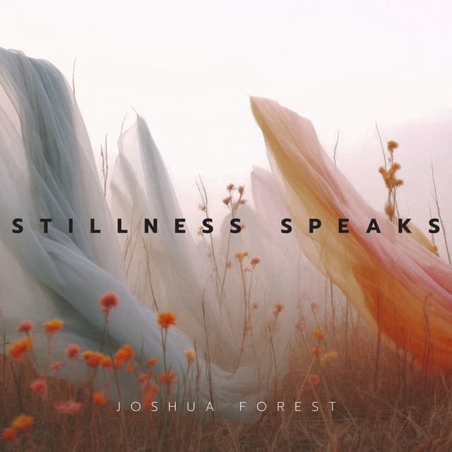 Stillness Speaks: The Weight of Wind - Joshua Forest