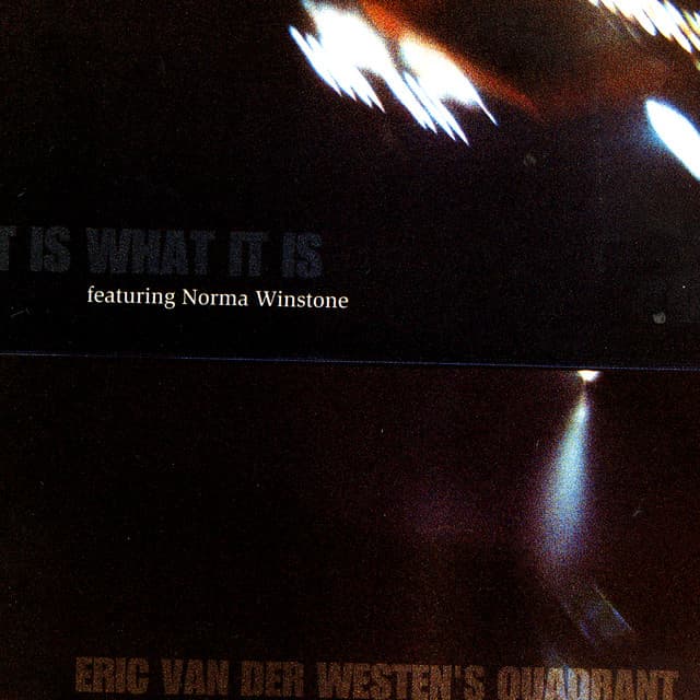 It Is What It Is - Eric van der Westen