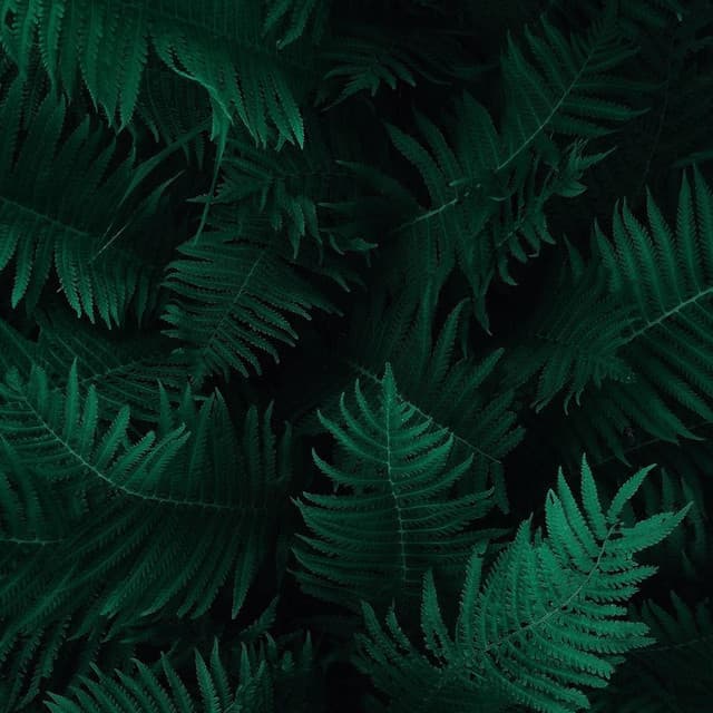 50 Healing Theta Wave Songs - Natural Rain Sounds for Sleeping