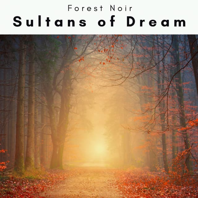 1 0 0 1 Sultans of Dream - Forest Noir
