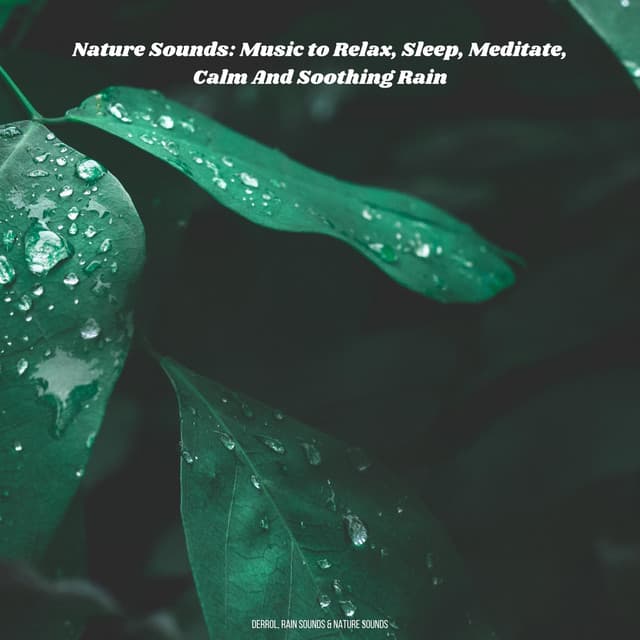 Nature Sounds: Music to Relax, Sleep, Meditate, Calm And Soothing Rain - Derrol
