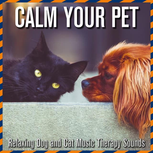 Calm Your Pet: Relaxing Dog and Cat Music Therapy Sounds - Dog Music