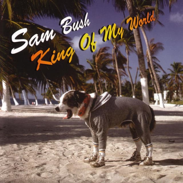King Of My World - Sam Bush