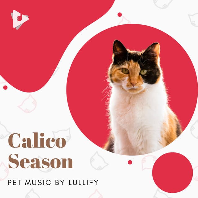 Calico Season - Pet Music by Lullify
