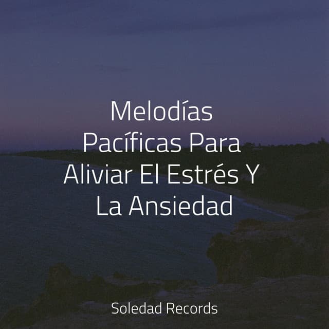 Melodías Pacíficas Para Aliviar El Estrés Y La Ansiedad - Spa & Spa