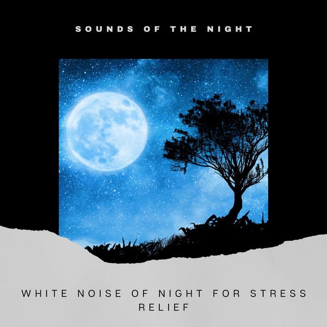 White Noise of Night for Stress Relief - Sounds of the Night