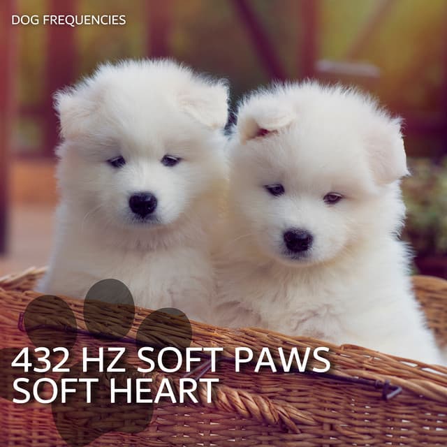 432 Hz Soft Paws, Soft Heart - Dog Frequencies
