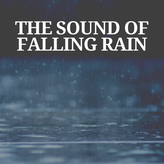 The Sound of Falling Rain - 24H Rain Sounds