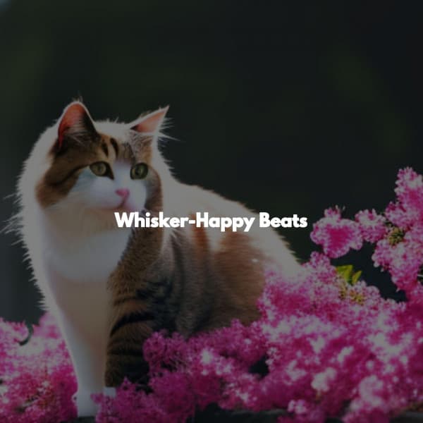 Whisker-Happy Beats - Smooth Jazz Jams