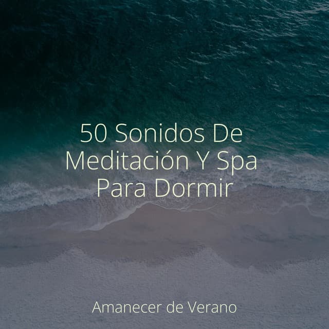 50 Sonidos De Meditación Y Spa Para Dormir - Zen Music Garden