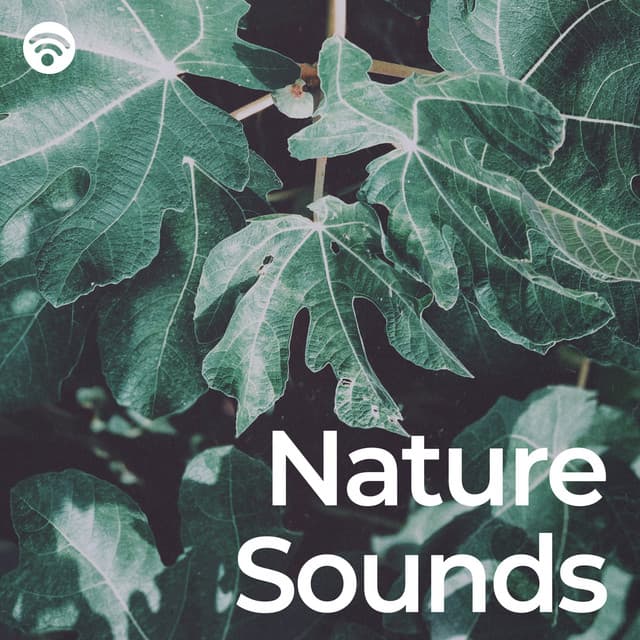 Nature Sounds - Nature Sounds for Sleep and Relaxation