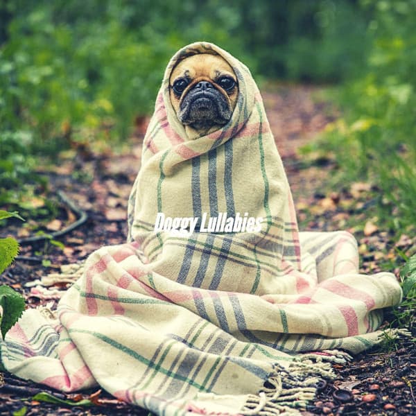 Doggy Lullabies - Musica Relajante para Perros Momentos