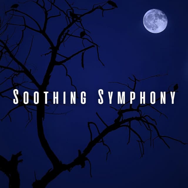 Soothing Symphony: Light Rain and Bird Lullabies for Sleep - Nature Sounds Research