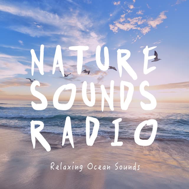 Relaxing Ocean Sounds - Nature Sounds Radio