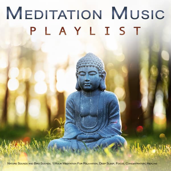 Meditation Music Playlist: Nature Sounds and Bird Sounds, 1 Hour Meditation For Relaxation, Deep Sleep, Focus, Concentration, Healing, Wellness, Mindfulness and Sleeping Music - 1 Hour Meditation