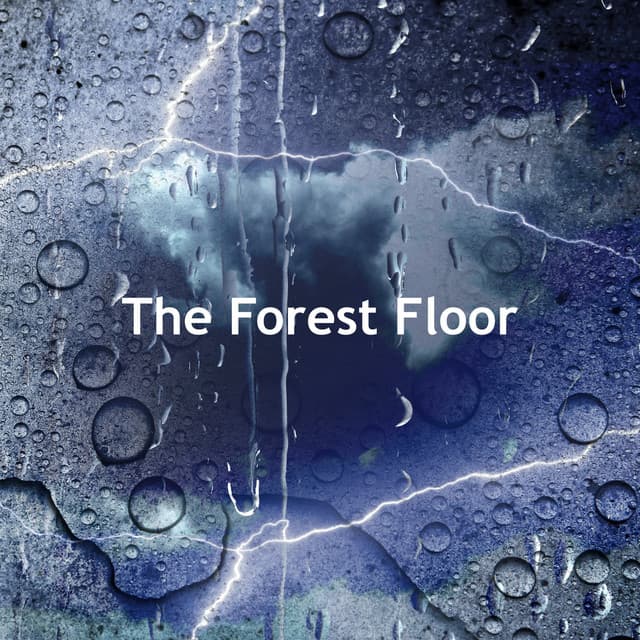 The Forest Floor - Earthlite