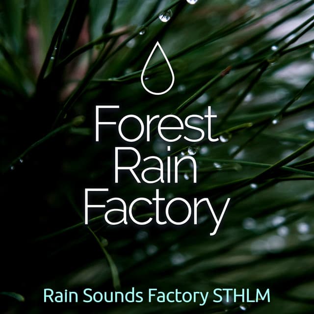 Forest Rain Factory - Rain Sounds Factory STHLM