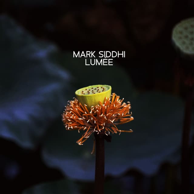 Listening to the Akashic Wind - Mark Siddhi