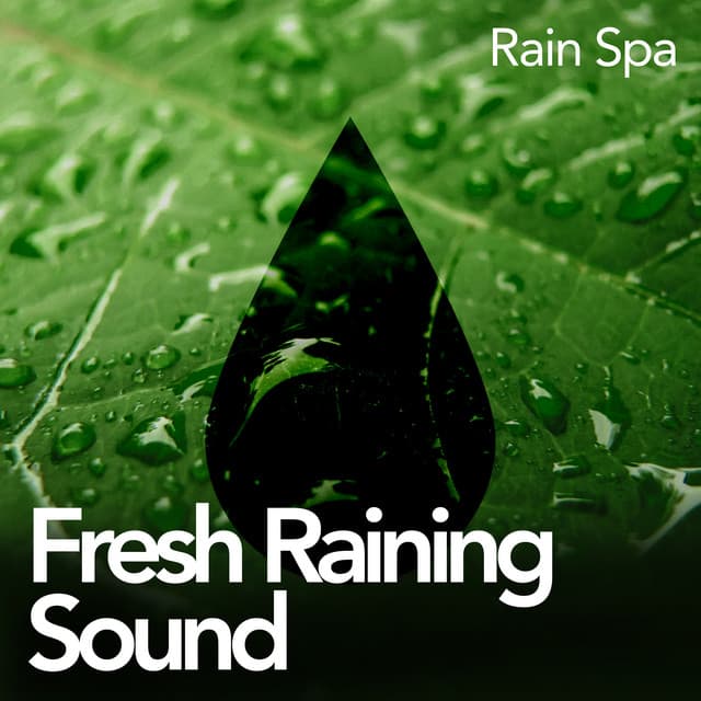 Fresh Raining Sound - Rain Spa