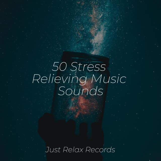 50 Stress Relieving Music Sounds - Reiki Music