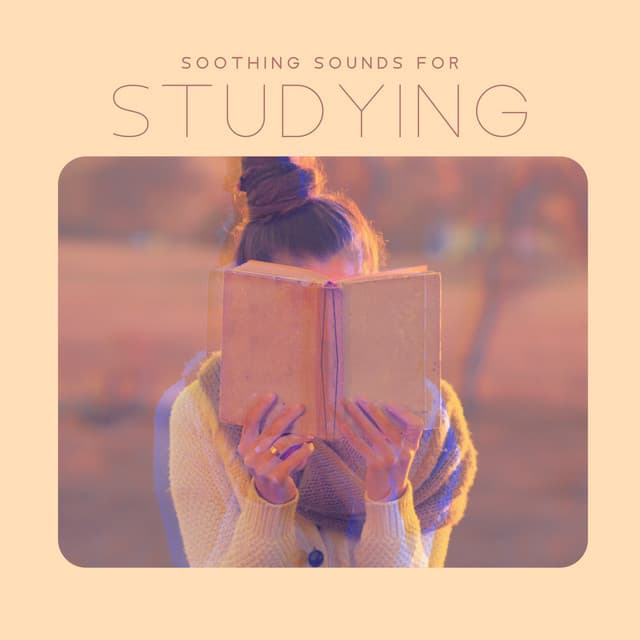 Soothing Sounds for Studying: Ambient Melodies for Concentration and Focus, Peaceful Music for Relaxing Study Session - Brain Study Music Guys