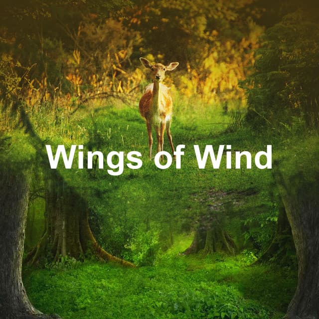 Wings of Wind - Bird Sounds