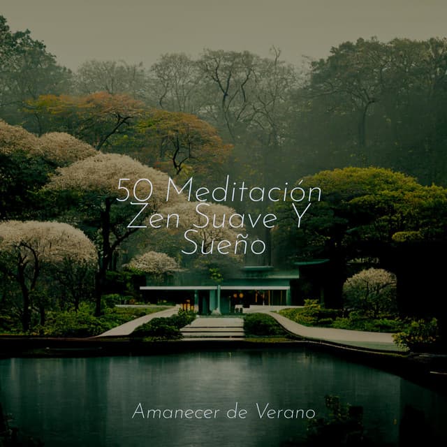 50 Meditación Zen Suave Y Sueño - Deep Sleep Relaxation