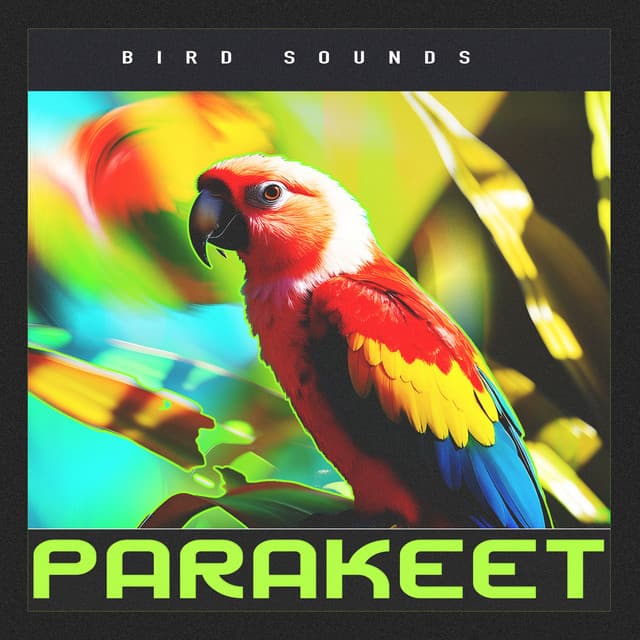Parakeet - Bird Sounds