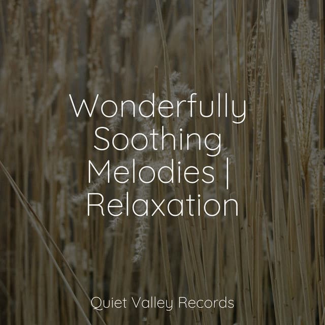 Wonderfully Soothing Melodies | Relaxation - Tailormade Ocean Waves
