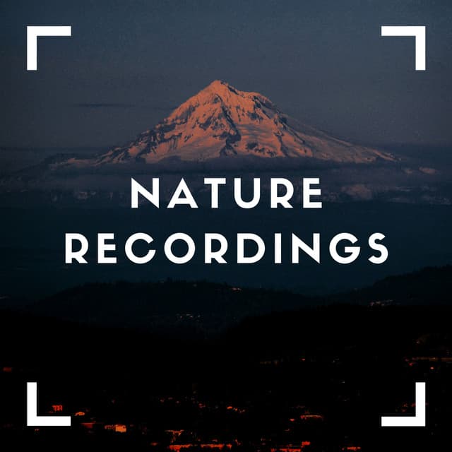 Natural Recordings of Green - Natural Sample Makers