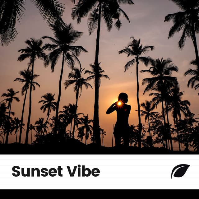 Sunset Vibe - Nature's Noise