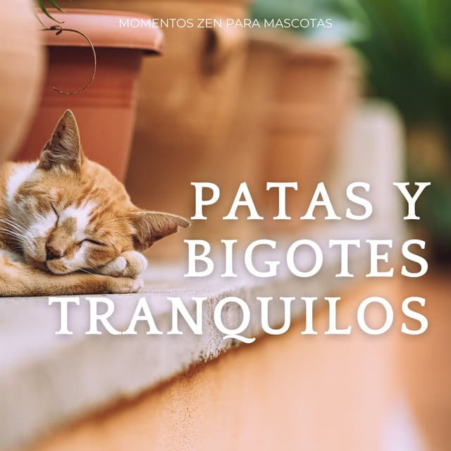 Patas Y Bigotes Tranquilos: Momentos Zen Para Mascotas - ASMR Dinamarca