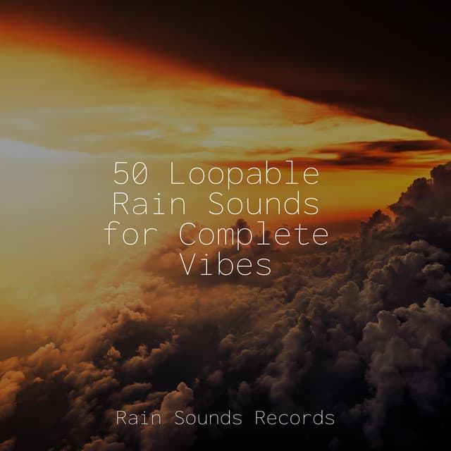 50 Loopable Rain Sounds for Complete Vibes - Bird Sounds