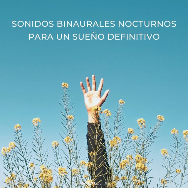 Sonidos Binaurales Nocturnos Para Un Sueño Definitivo - Ayuda para dormir Binaural Beats