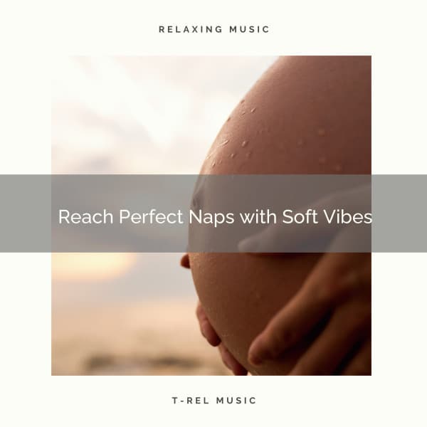 1 0 1 Reach Perfect Naps with Soft Vibes - Baby Sleep Spot