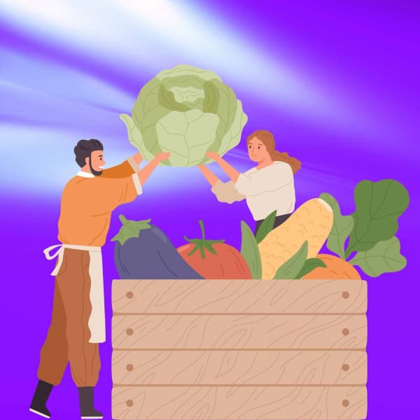 Organic Guitar Music - Ambiance for Calming Down Lounges - Concentration Music for Work