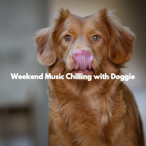 Weekend Music Chilling with Doggie - Lazy Sunday Jazz