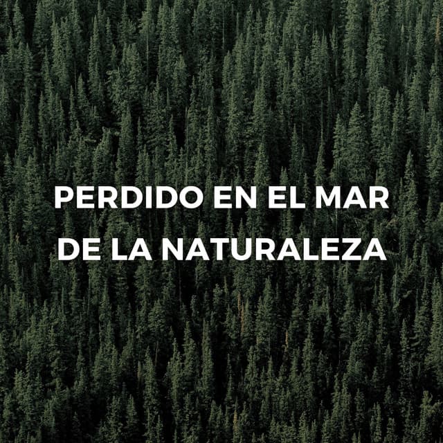 Perdido En El Mar De La Naturaleza - Resplandor de la naturaleza