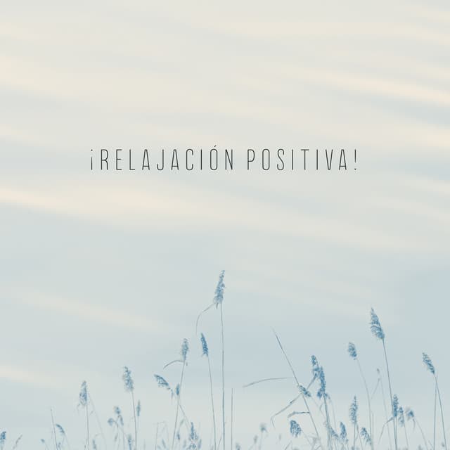 ¡Relajación positiva! Música Para Ayudarle a Relajarse Completamente, Momentos de Calma, Sonidos Delicados - Zona Música Relaxante