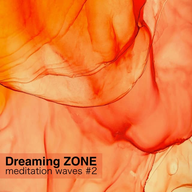 Dreaming ZONE